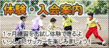 体験・入会案内